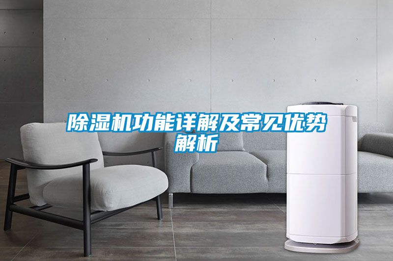 除濕機(jī)功能詳解及常見優(yōu)勢(shì)解析