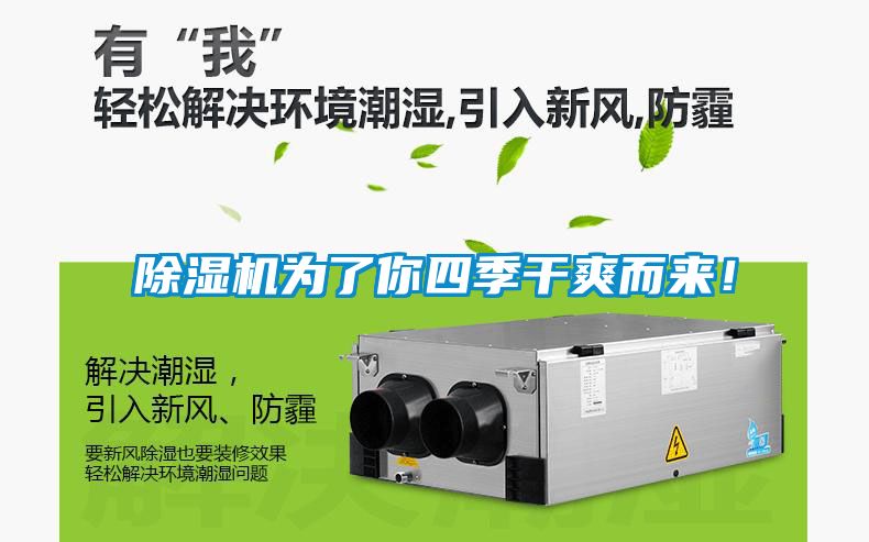 除濕機為了你四季干爽而來！
