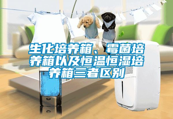 生化培養箱、霉菌培養箱以及恒溫恒濕培養箱三者區別