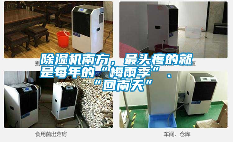 除濕機南方，最頭疼的就是每年的“梅雨季”、“回南天”