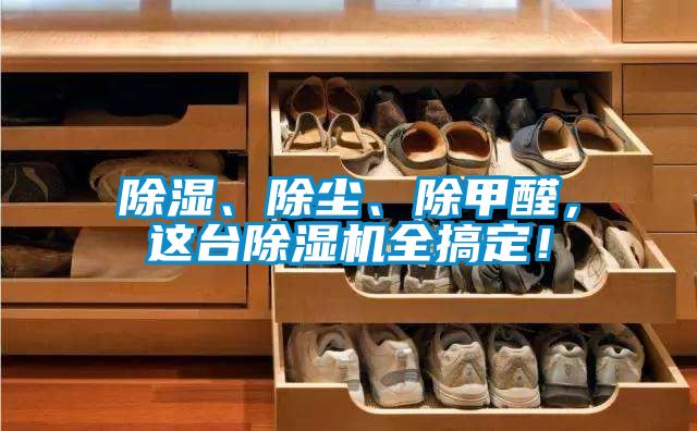 除濕、除塵、除甲醛，這臺除濕機(jī)全搞定！