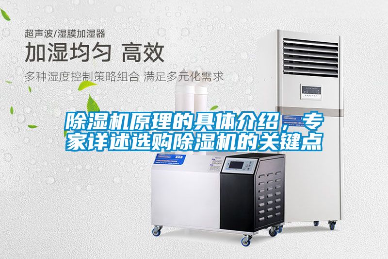 除濕機(jī)原理的具體介紹，專家詳述選購除濕機(jī)的關(guān)鍵點(diǎn)