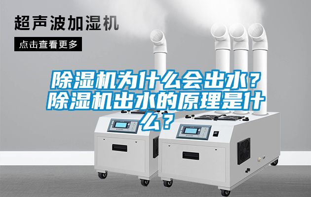 除濕機為什么會出水？除濕機出水的原理是什么？