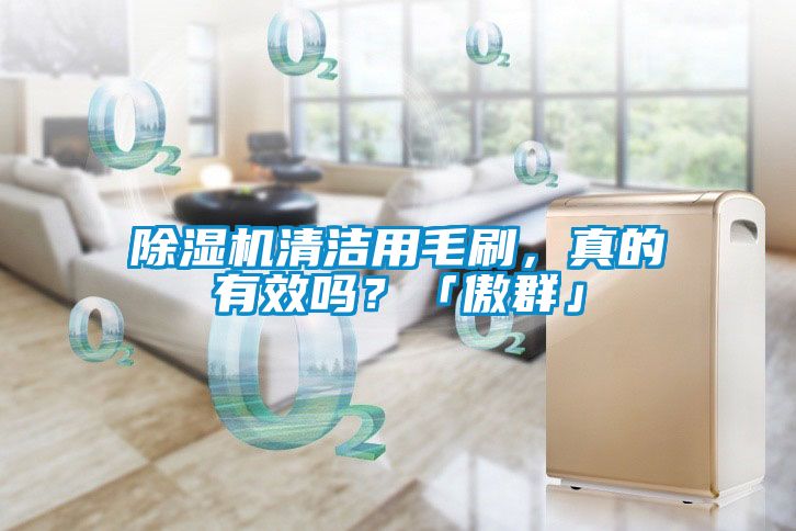 除濕機清潔用毛刷，真的有效嗎？「傲群」