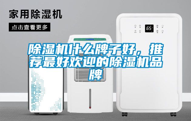 除濕機什么牌子好，推薦最好歡迎的除濕機品牌