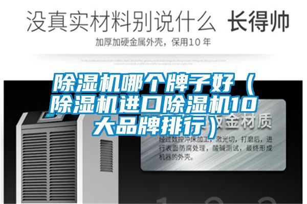 除濕機哪個牌子好（除濕機進(jìn)口除濕機10大品牌排行）