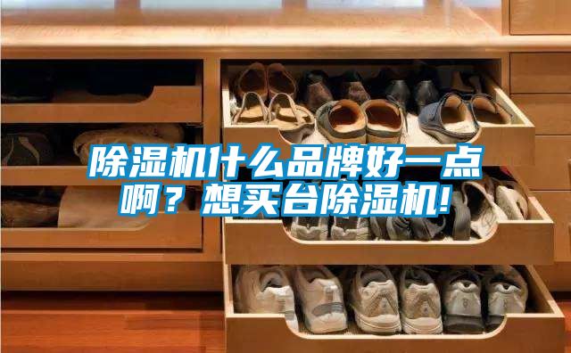 除濕機什么品牌好一點??？想買臺除濕機!