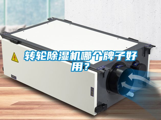 轉(zhuǎn)輪除濕機哪個牌子好用？
