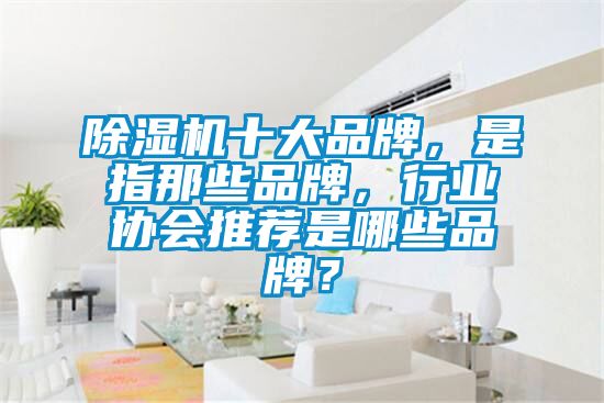 除濕機十大品牌，是指那些品牌，行業協會推薦是哪些品牌？