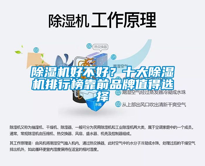 除濕機好不好？十大除濕機排行榜靠前品牌值得選擇