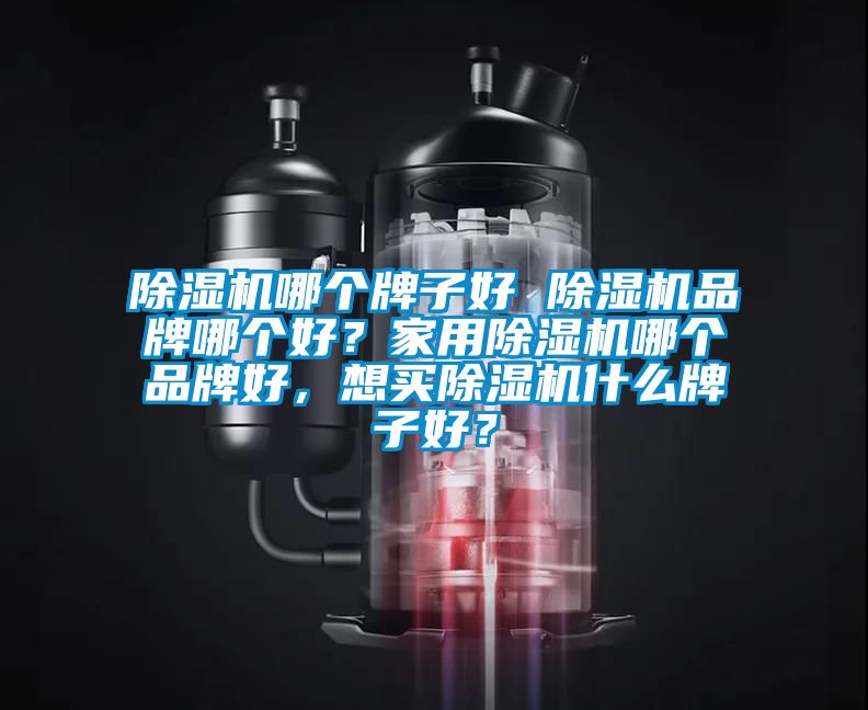 除濕機哪個牌子好 除濕機品牌哪個好？家用除濕機哪個品牌好，想買除濕機什么牌子好？