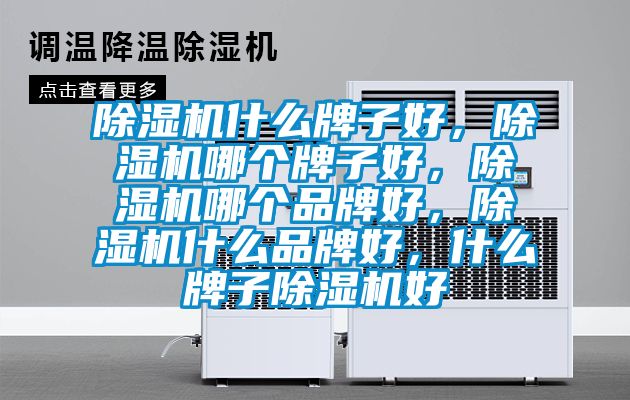 除濕機什么牌子好，除濕機哪個牌子好，除濕機哪個品牌好，除濕機什么品牌好，什么牌子除濕機好