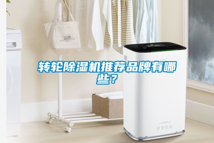 轉輪除濕機推薦品牌有哪些？