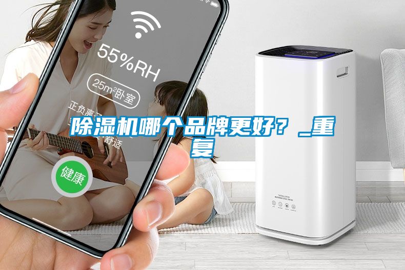 除濕機哪個品牌更好？_重復