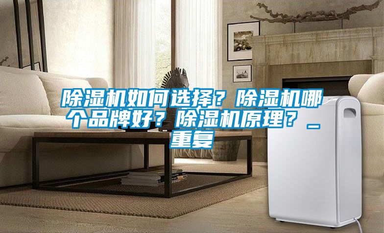除濕機如何選擇？除濕機哪個品牌好？除濕機原理？_重復