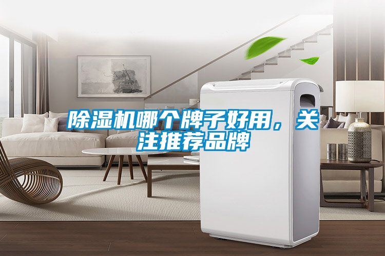 除濕機(jī)哪個牌子好用，關(guān)注推薦品牌