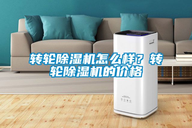 轉輪除濕機怎么樣？轉輪除濕機的價格