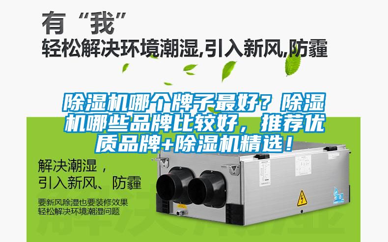 除濕機(jī)哪個(gè)牌子最好？除濕機(jī)哪些品牌比較好，推薦優(yōu)質(zhì)品牌+除濕機(jī)精選！