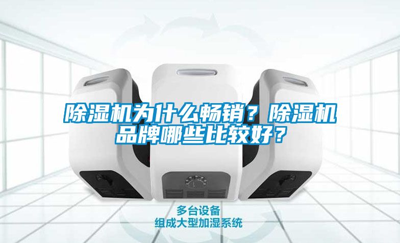 除濕機為什么暢銷？除濕機品牌哪些比較好？