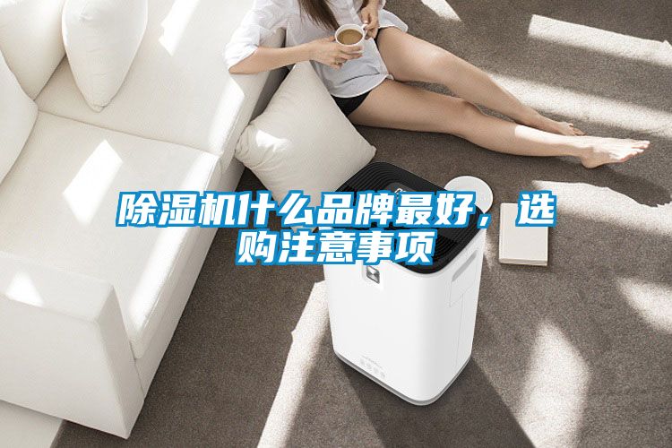 除濕機什么品牌最好，選購注意事項