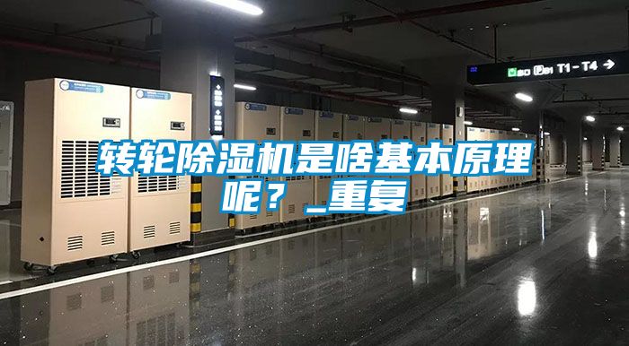 轉輪除濕機是啥基本原理呢？_重復