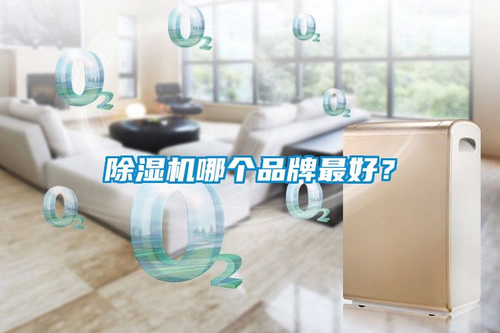 除濕機哪個品牌最好？