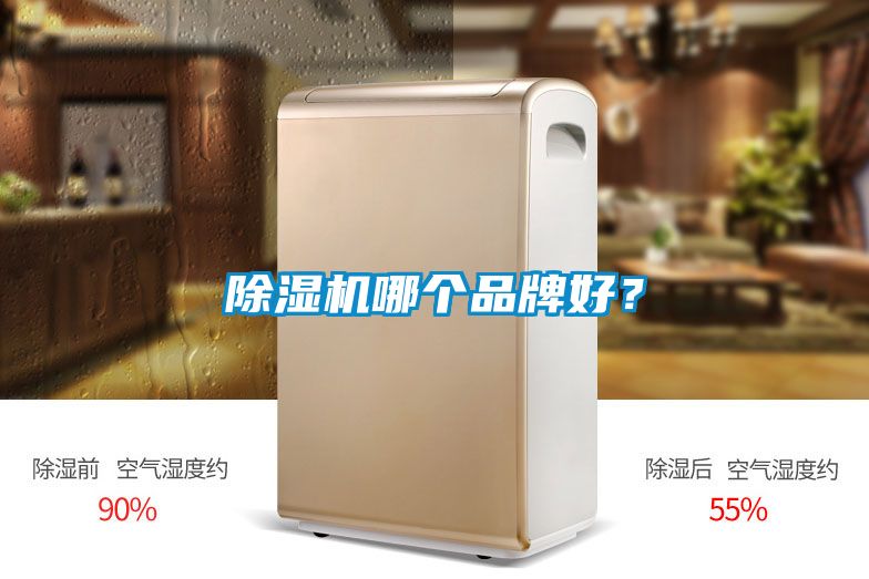 除濕機哪個品牌好？