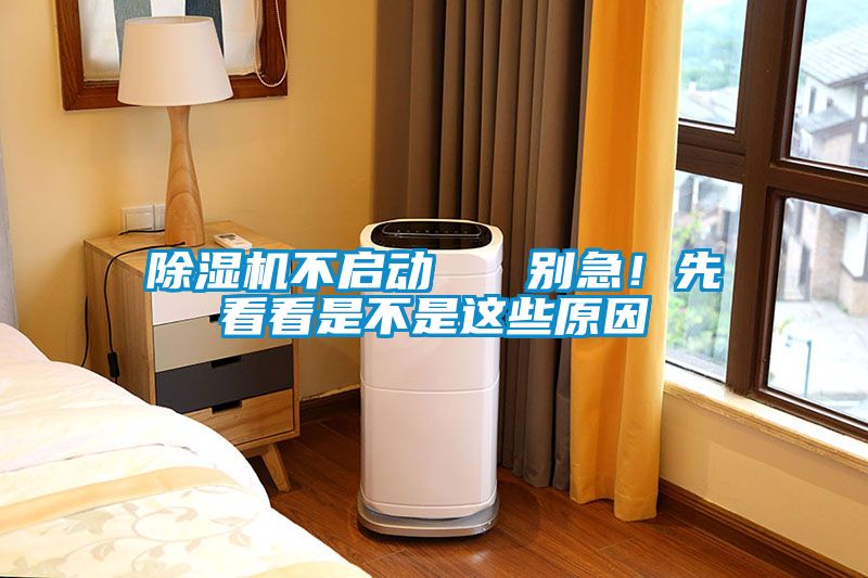 除濕機不啟動   別急！先看看是不是這些原因