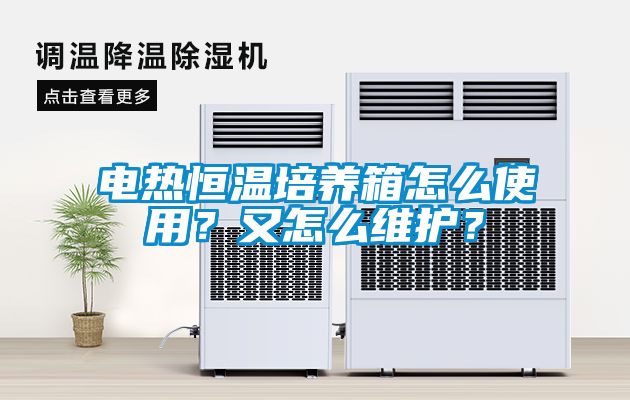 電熱恒溫培養(yǎng)箱怎么使用？又怎么維護？