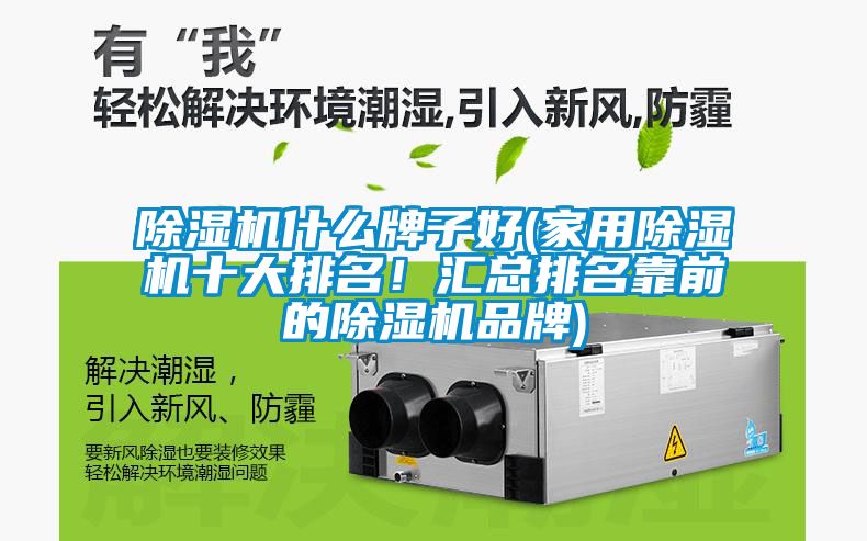除濕機什么牌子好(家用除濕機十大排名！匯總排名靠前的除濕機品牌)