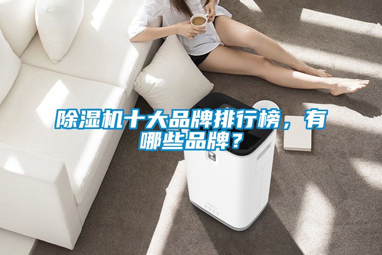 除濕機十大品牌排行榜，有哪些品牌？