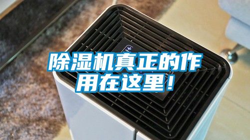 除濕機真正的作用在這里！
