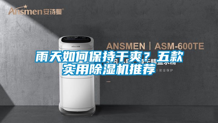 雨天如何保持干爽？五款實用除濕機推薦
