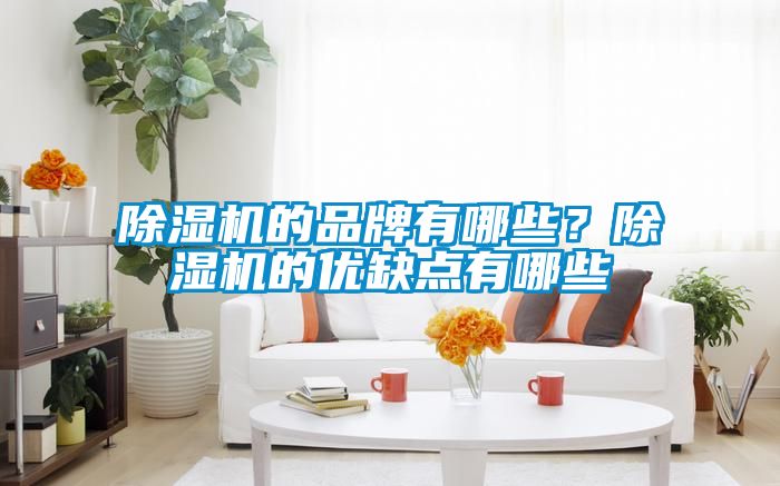 除濕機的品牌有哪些？除濕機的優缺點有哪些