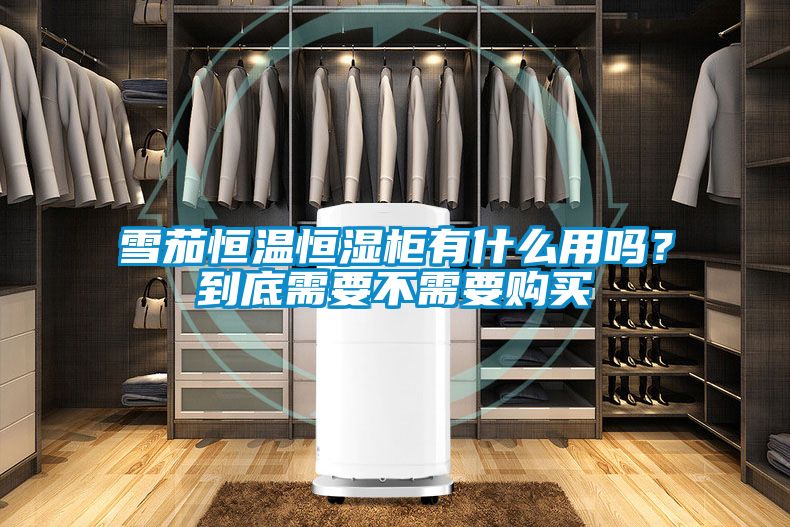 雪茄恒溫恒濕柜有什么用嗎？到底需要不需要購(gòu)買