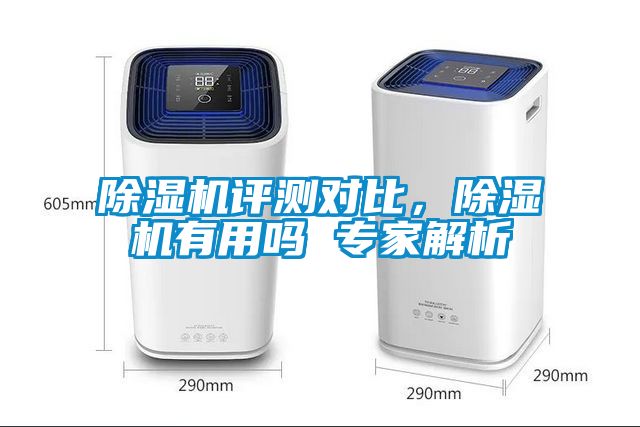 除濕機(jī)評(píng)測對比，除濕機(jī)有用嗎 專家解析