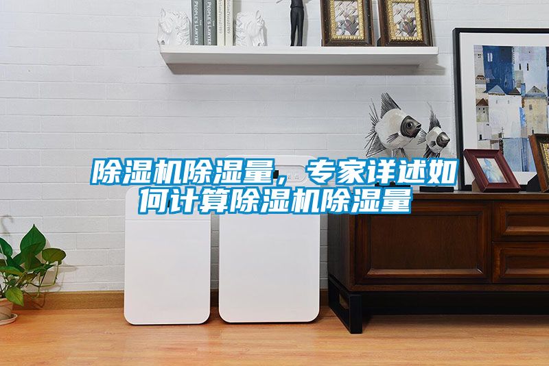 除濕機(jī)除濕量，專(zhuān)家詳述如何計(jì)算除濕機(jī)除濕量