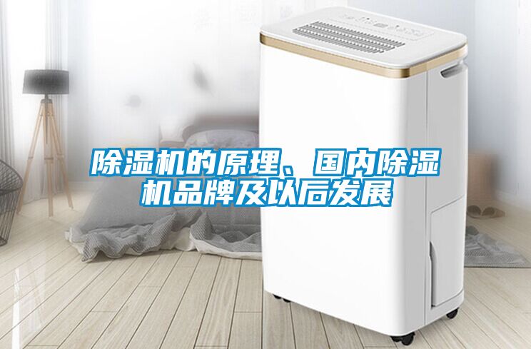 除濕機的原理、國內除濕機品牌及以后發展