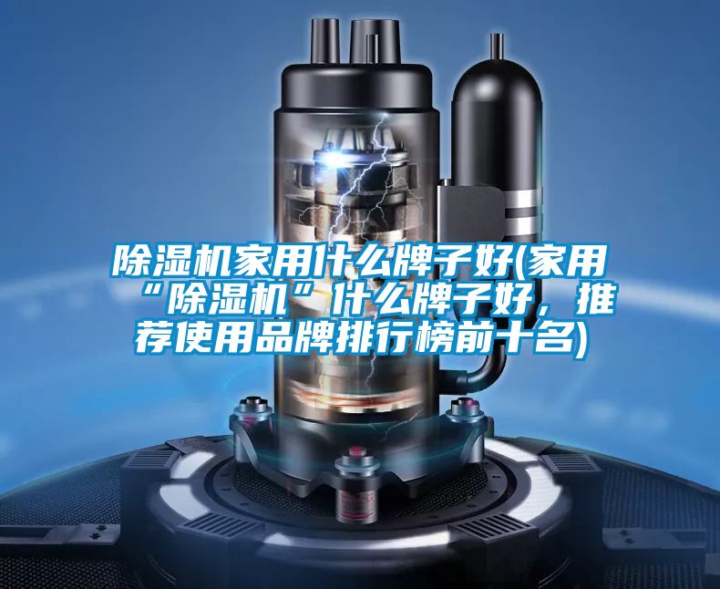 除濕機(jī)家用什么牌子好(家用“除濕機(jī)”什么牌子好，推薦使用品牌排行榜前十名)