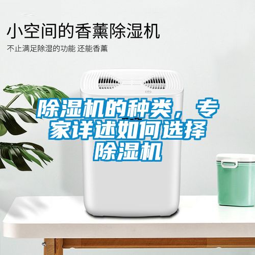 除濕機的種類，專家詳述如何選擇除濕機