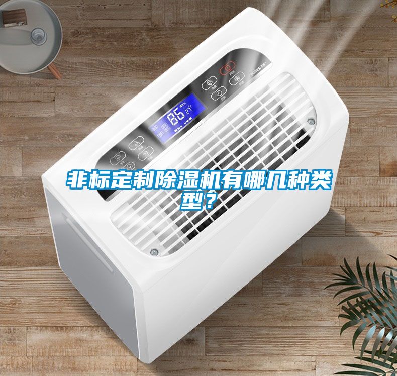 非標定制除濕機有哪幾種類型？