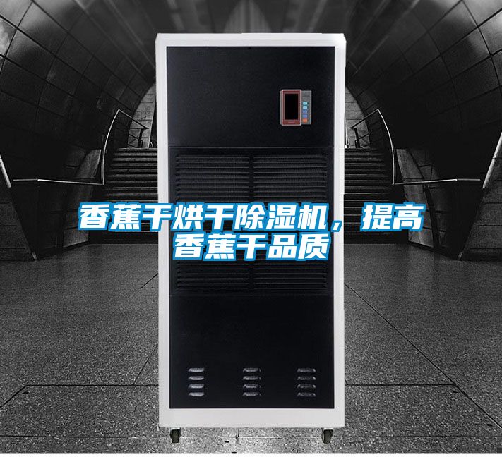 香蕉干烘干除濕機(jī)，提高香蕉干品質(zhì)