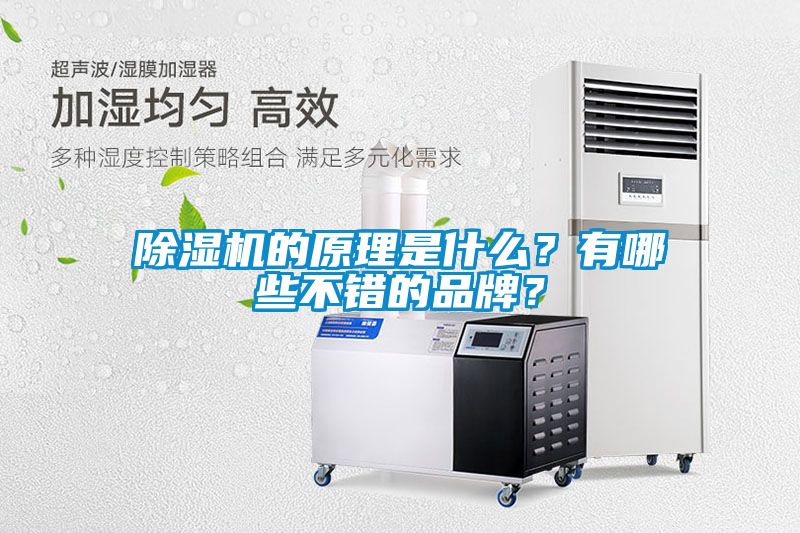 除濕機的原理是什么？有哪些不錯的品牌？