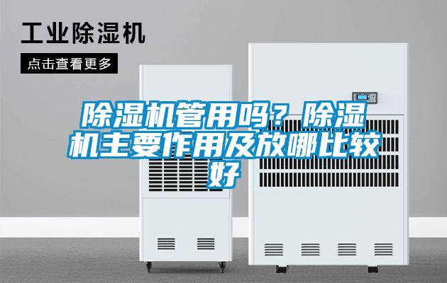 除濕機(jī)管用嗎？除濕機(jī)主要作用及放哪比較好