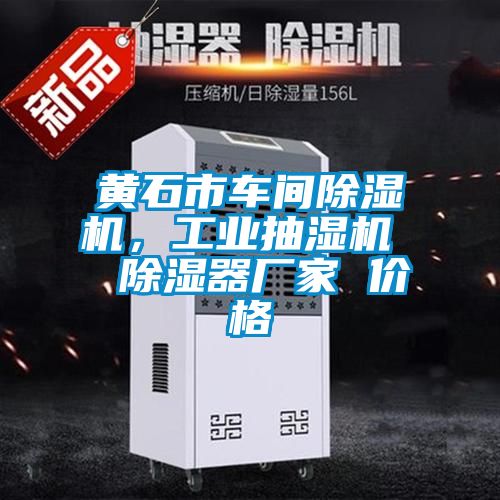 黃石市車間除濕機，工業抽濕機  除濕器廠家 價格