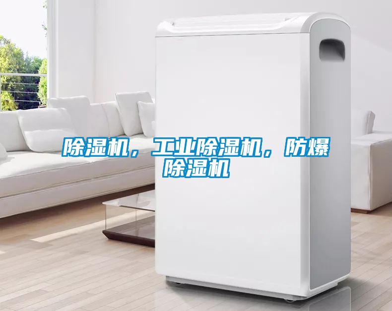 除濕機(jī)，工業(yè)除濕機(jī)，防爆除濕機(jī)
