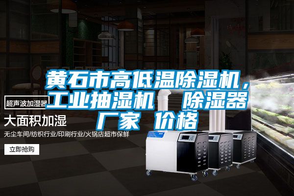 黃石市高低溫除濕機，工業抽濕機  除濕器廠家 價格