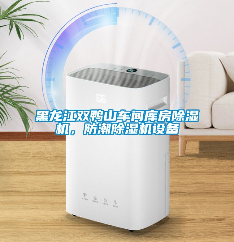 黑龍江雙鴨山車間庫房除濕機，防潮除濕機設備