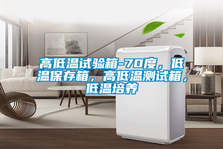 高低溫試驗(yàn)箱-70度，低溫保存箱，高低溫測(cè)試箱，低溫培養(yǎng)