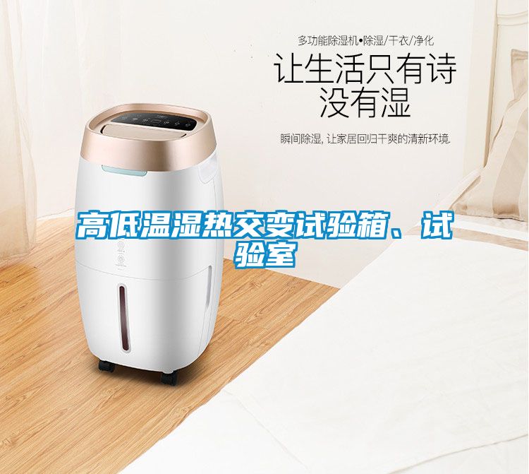 高低溫濕熱交變試驗箱、試驗室